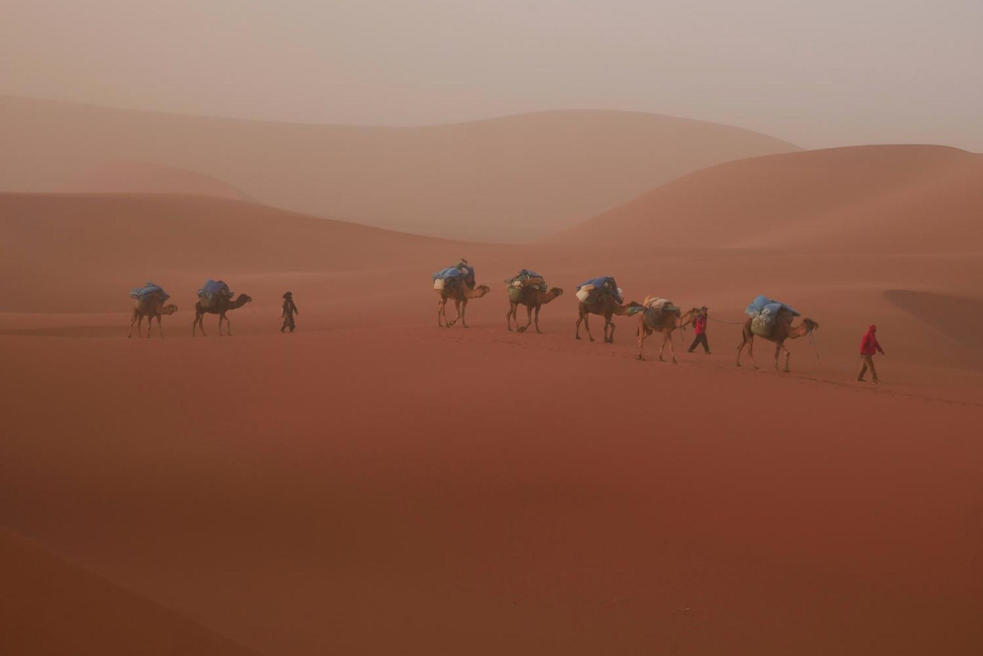Jardin Du Desert มามิด ภายนอก รูปภาพ