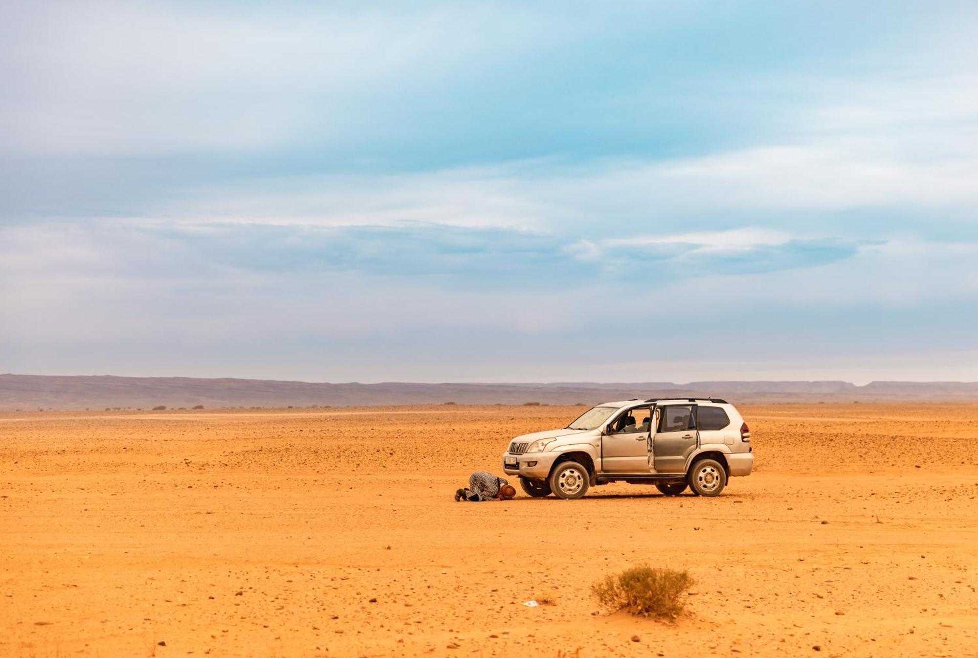 Jardin Du Desert มามิด ภายนอก รูปภาพ