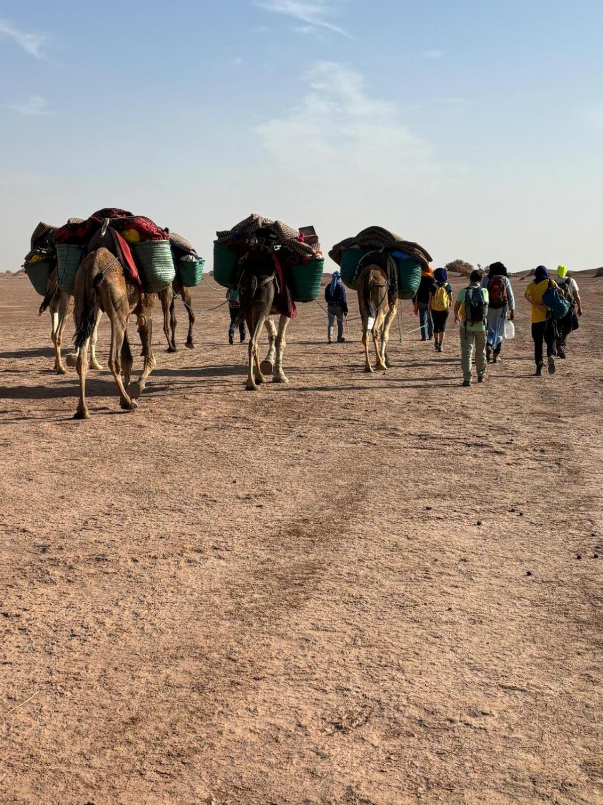 Jardin Du Desert มามิด ภายนอก รูปภาพ