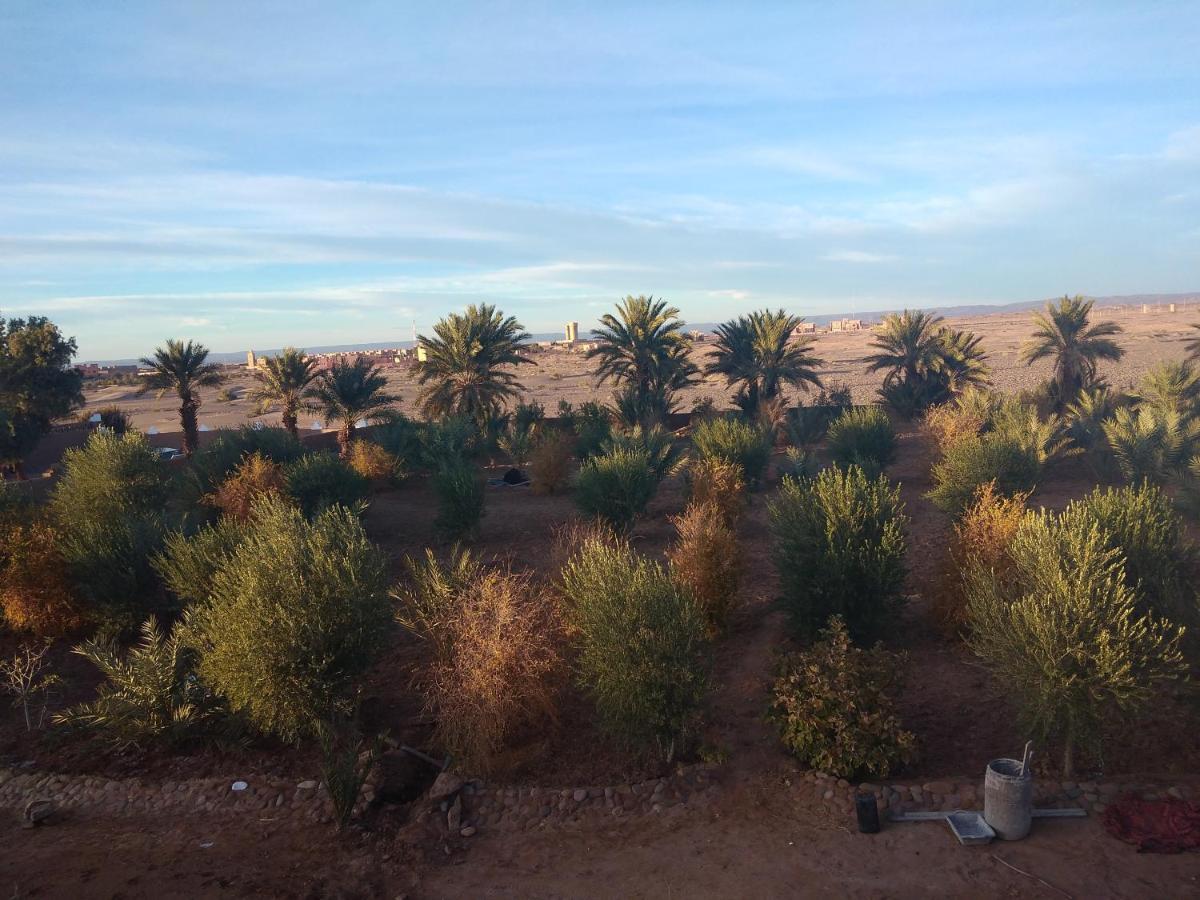 Jardin Du Desert มามิด ภายนอก รูปภาพ